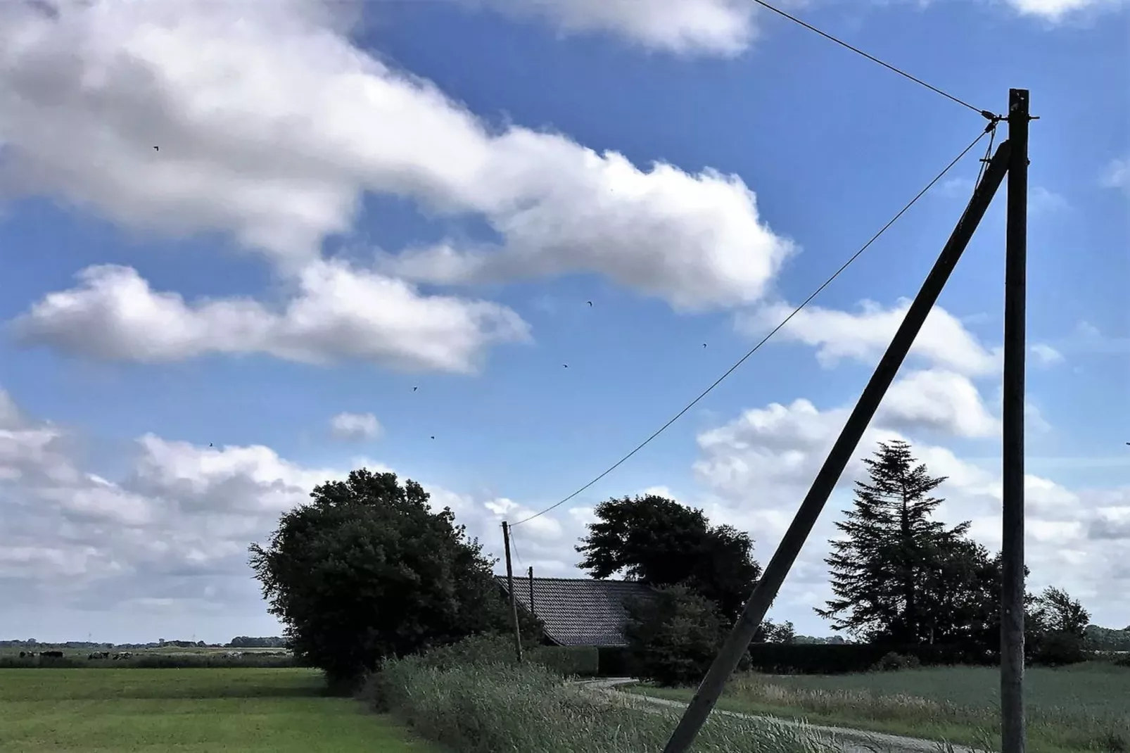 89709-Zones été à 5 km