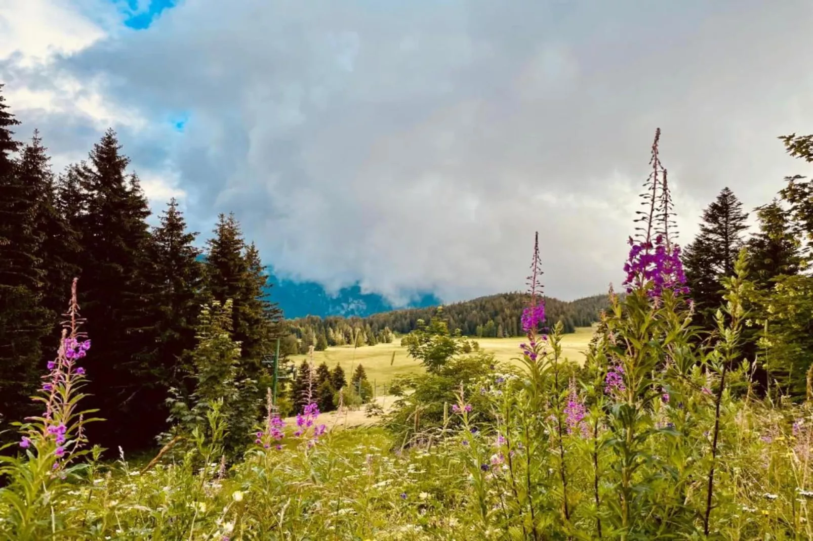 Le Vernon N°721 - ST4-Areas within 5km in summer