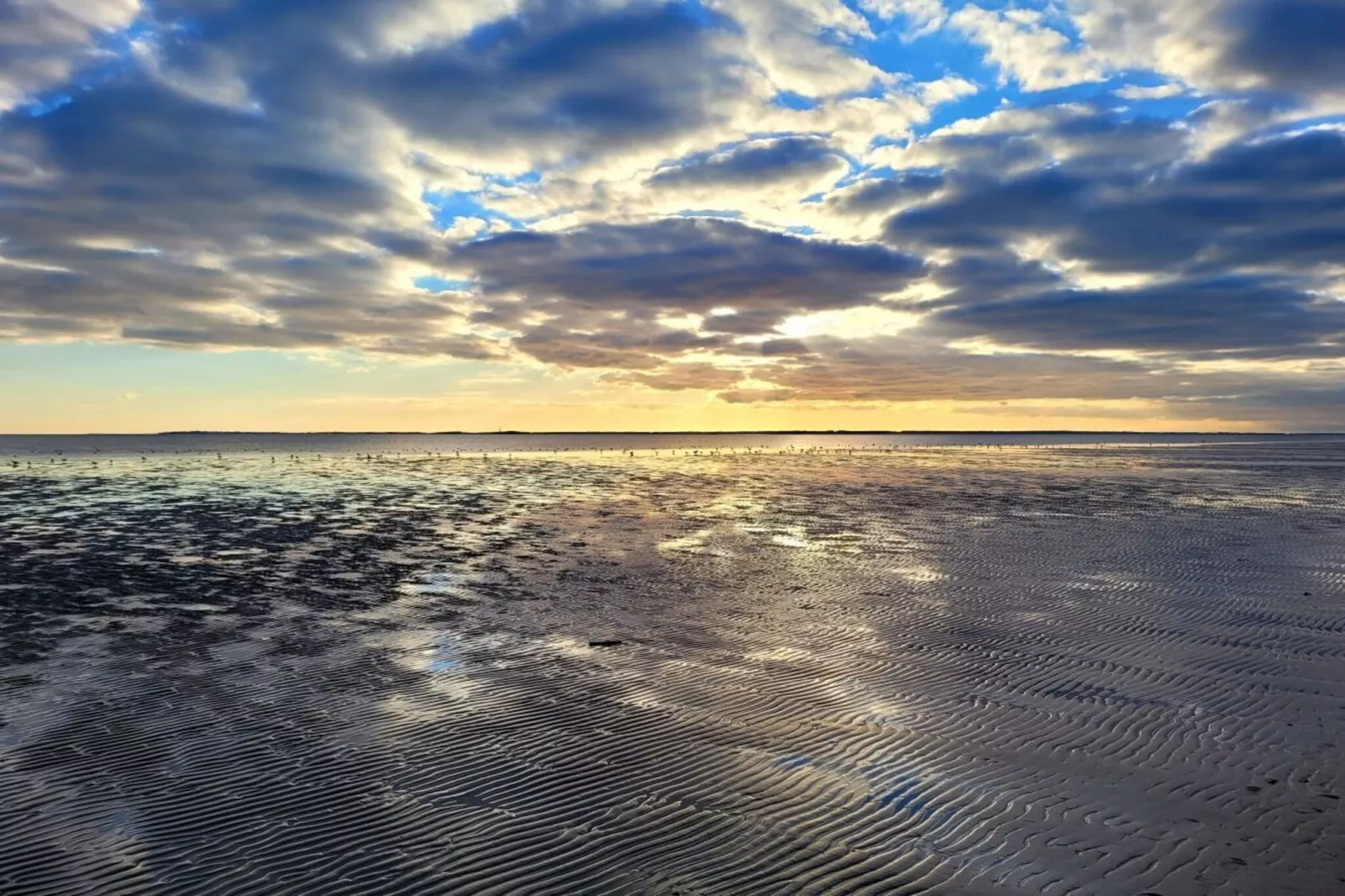 391987-Image-tags.water view