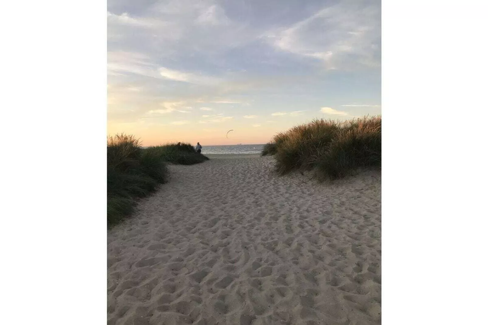 293990-Areas within 5km in summer