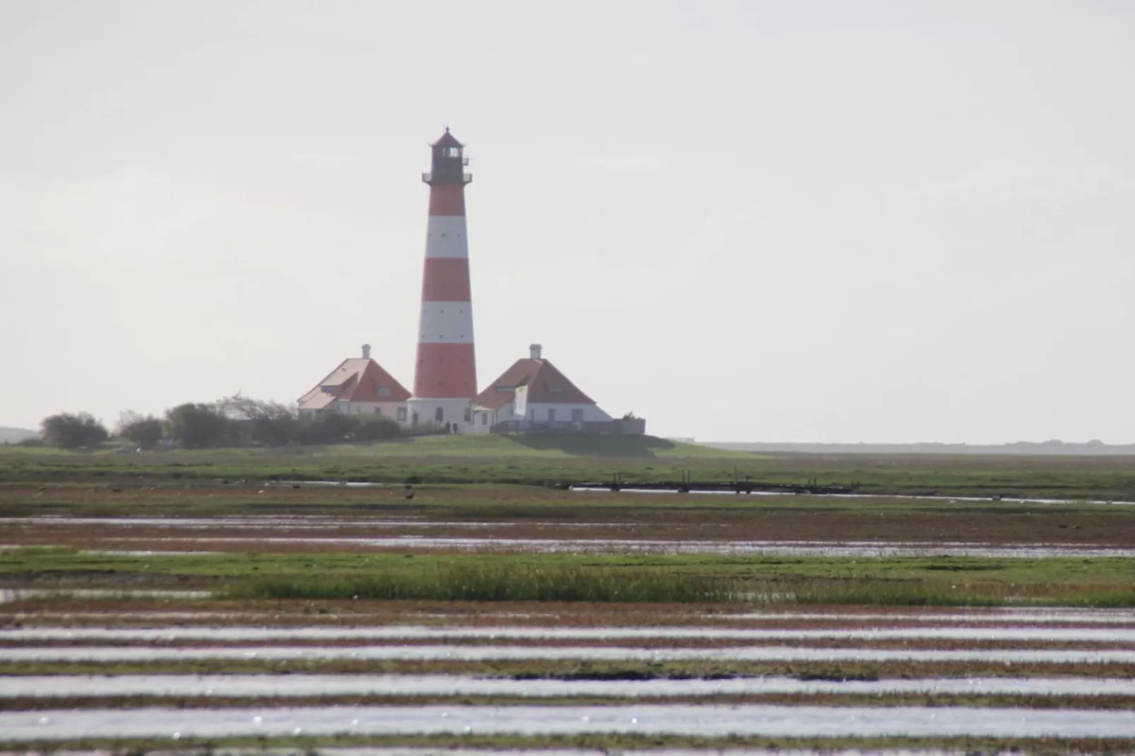 261897-Areas within 5km in summer