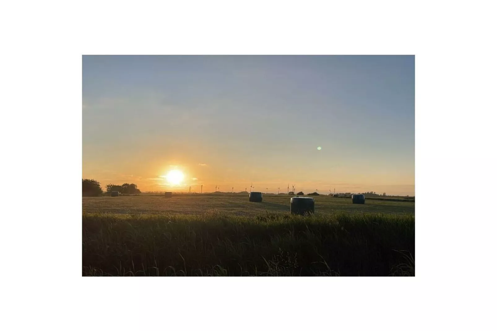 83177-Jardins en été