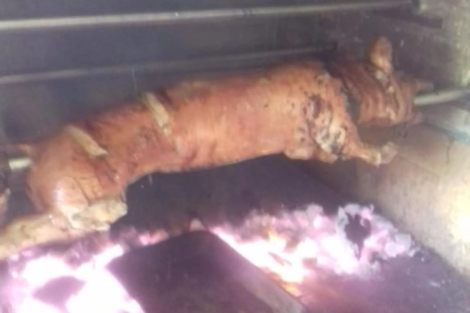 One Bedroom Magic Room (1)-Facilities