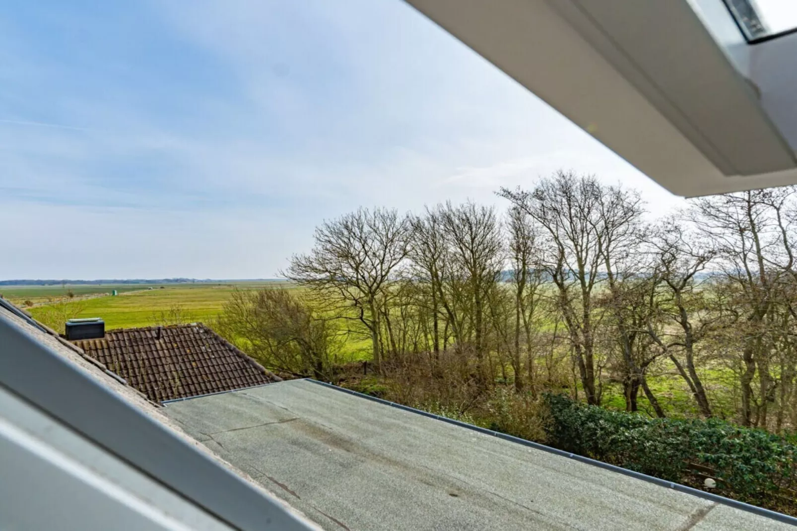 113868-Außenbereich Sommer