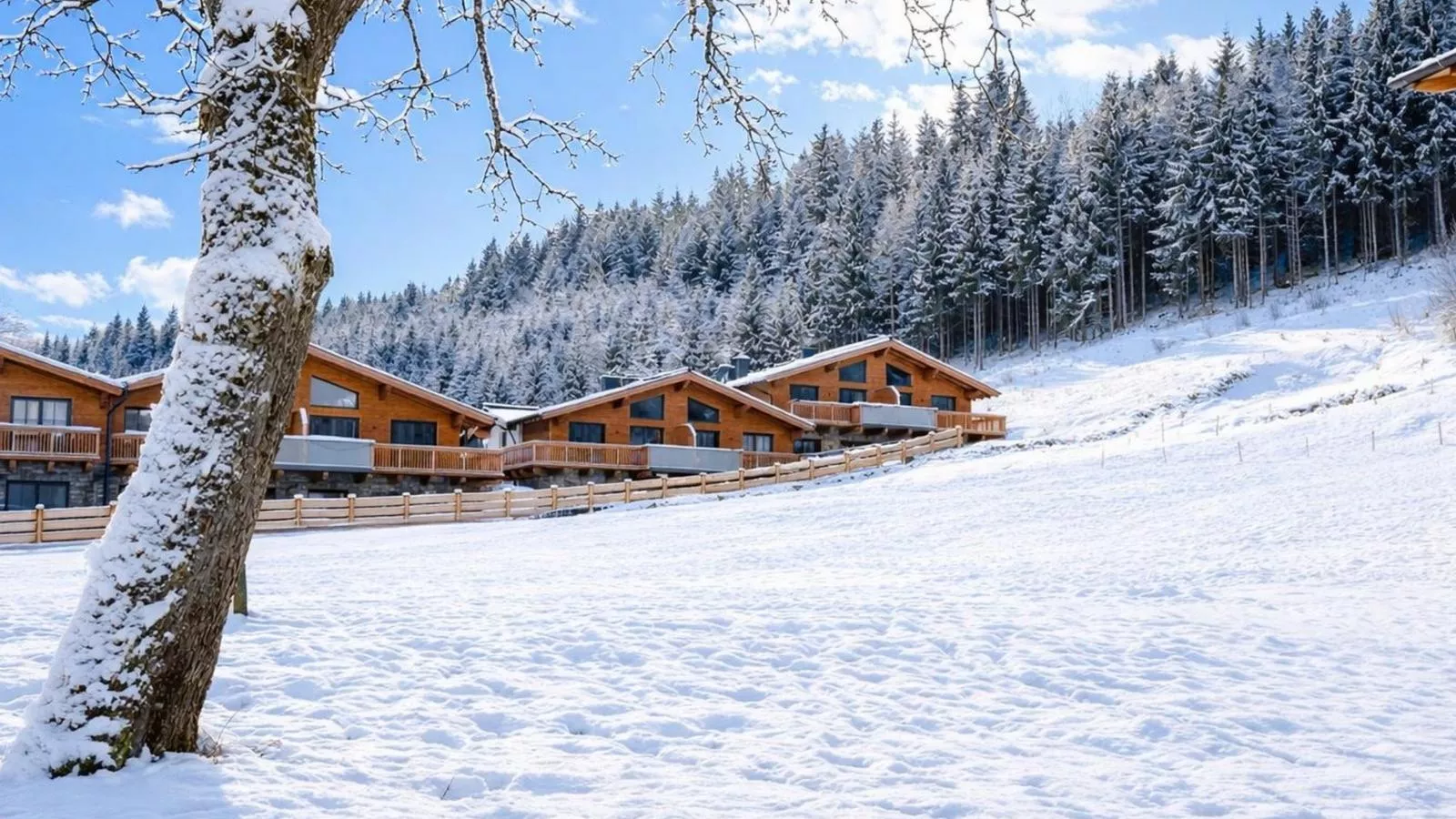 Tauernlodge Eben E4-Außenbereich Winter