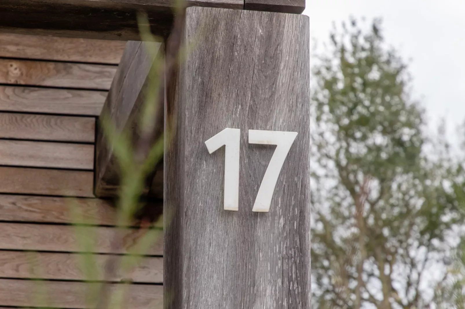 Zonnedorp 17 Zeewinde Renesse: Comfortable holiday home near the beach-Nicht zugeordnet