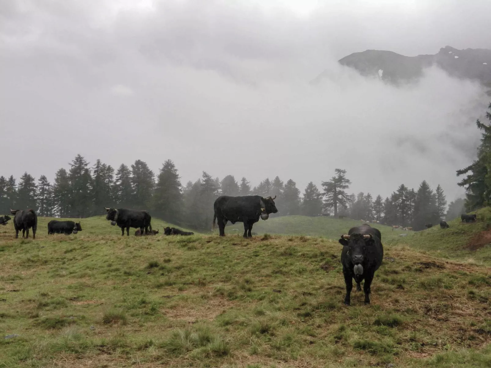 Chalet 1679 - Image-tags.info