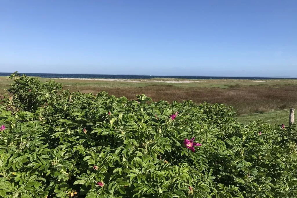 101641-Nicht zugeordnet