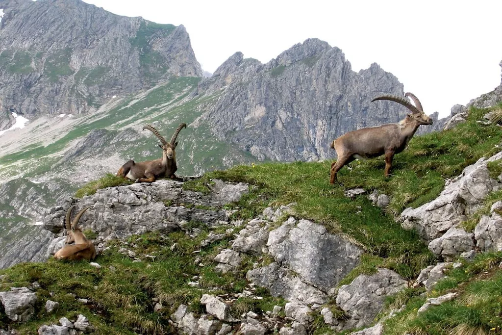 344484-Nicht zugeordnet