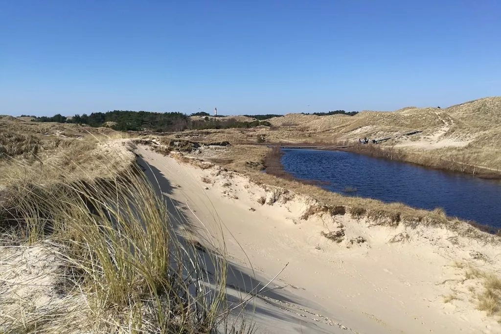 205663-Nicht zugeordnet