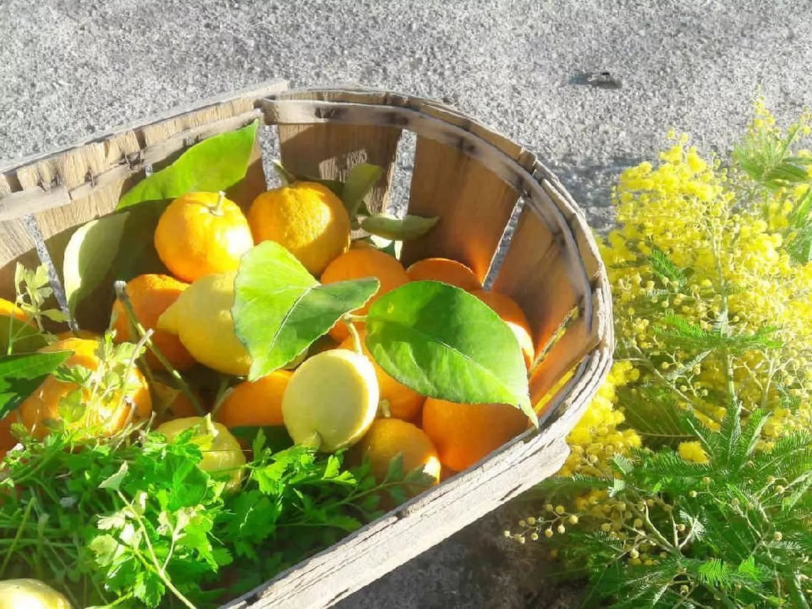 Appartement in Le Bar-Sur-Loup mit Eigenem Garten - Image-tags.info