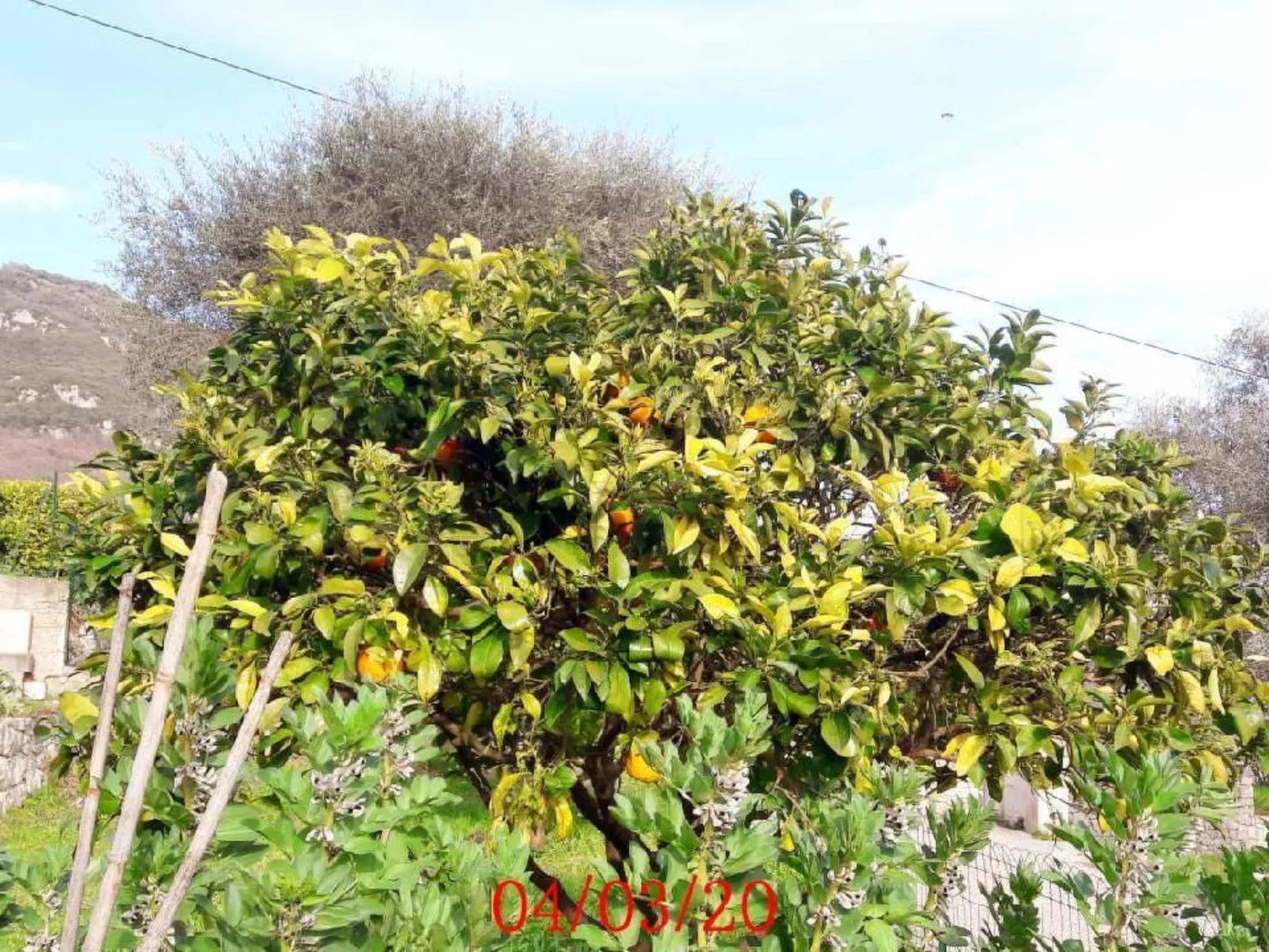 Locations-06 - das haus von noelie 1. stock - Image-tags.info