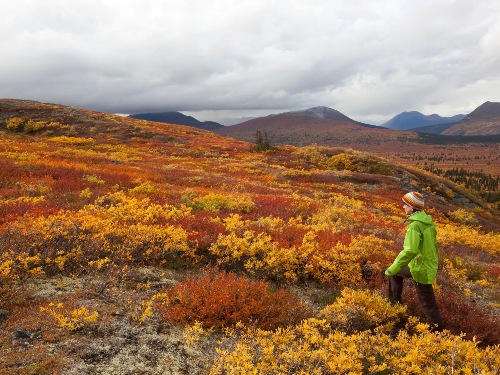 In Krokom und Seeblick - Image-tags.info
