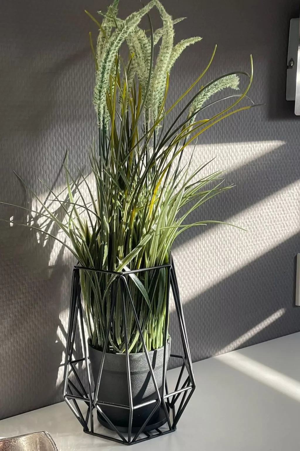 Hausboot Vroni am Bärwaldersee - Image-tags.info