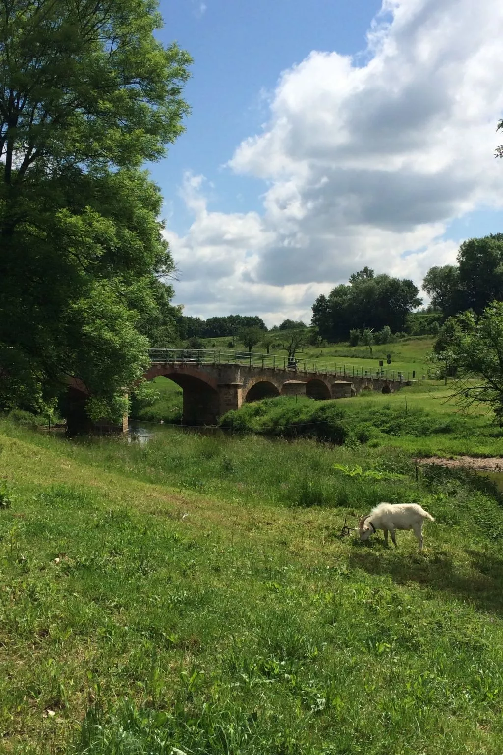 Pleissenhaus - Image-tags.info