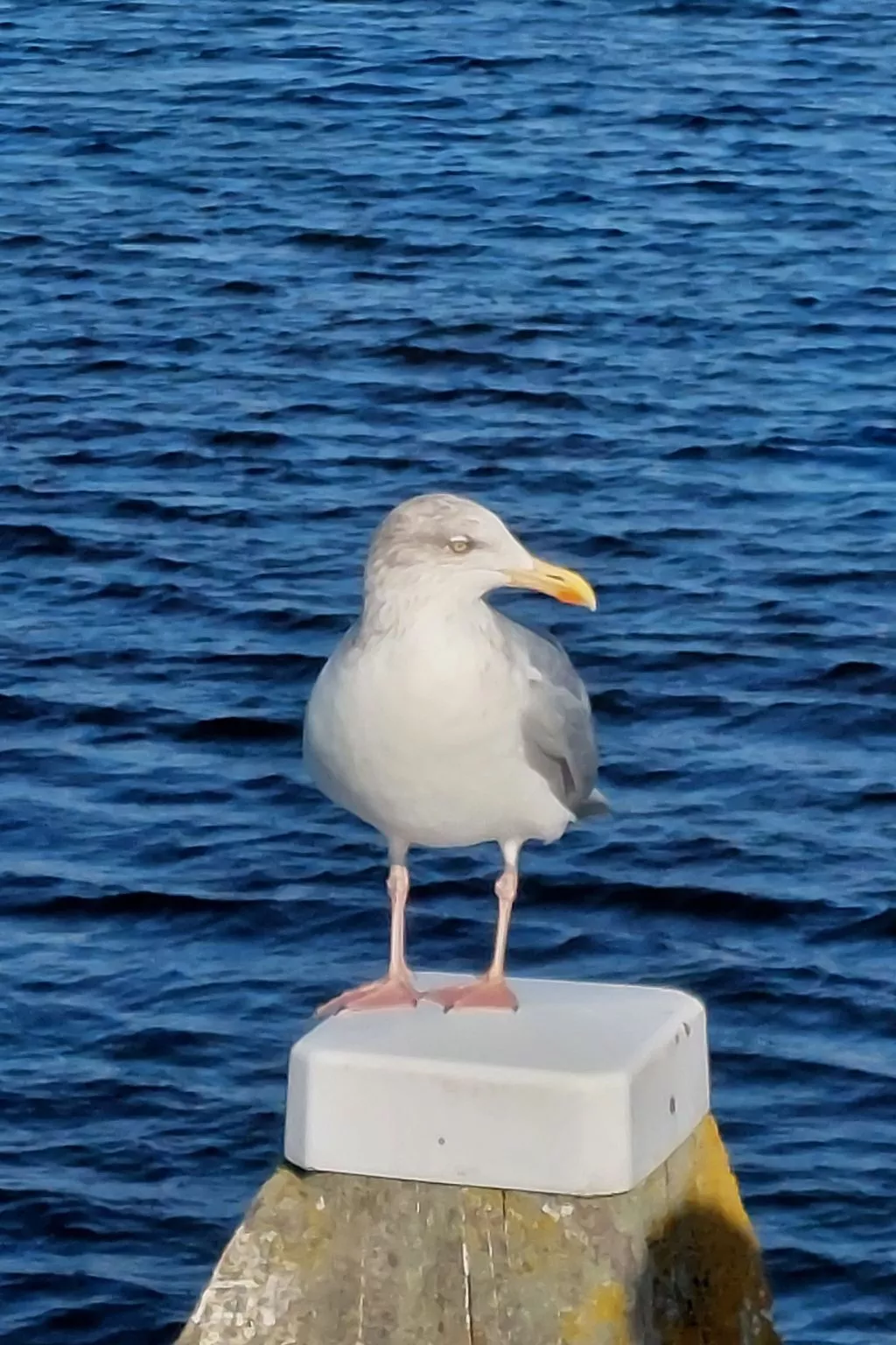 Haus Ostseeblick - Image-tags.info