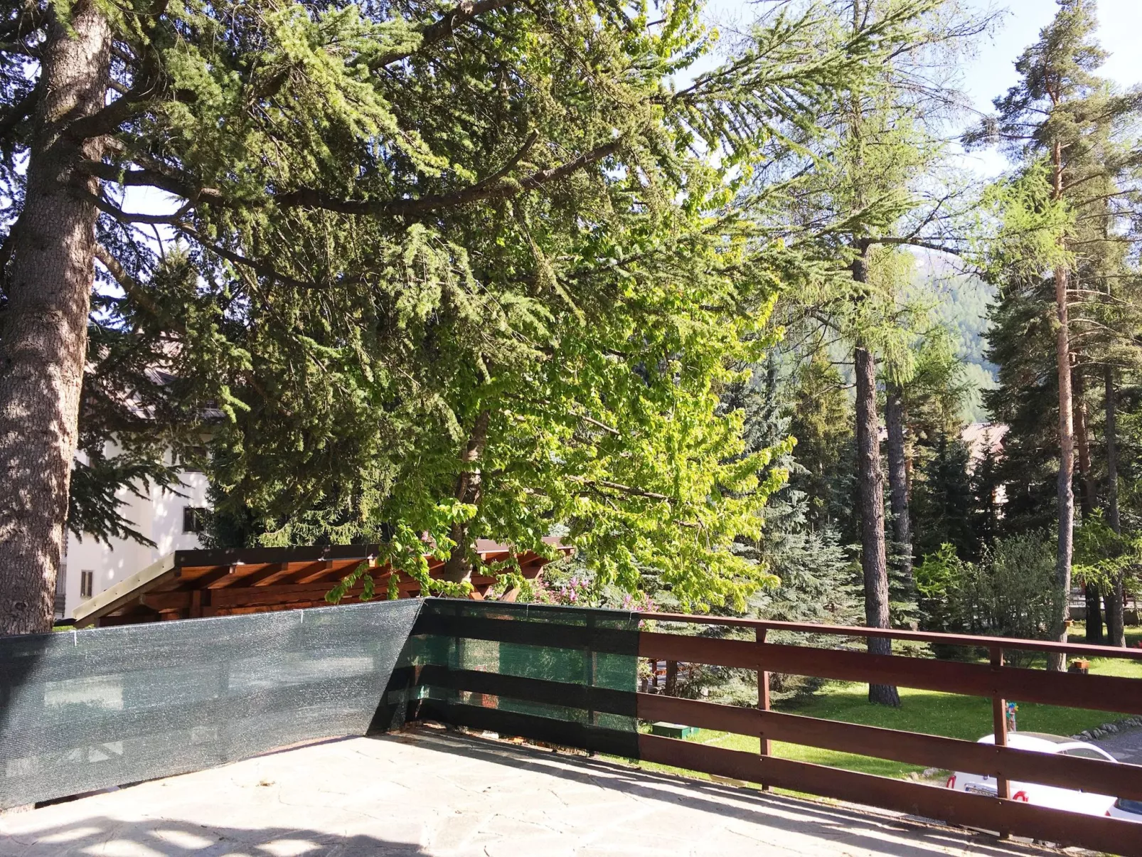 'San Francesco - Image-tags.info