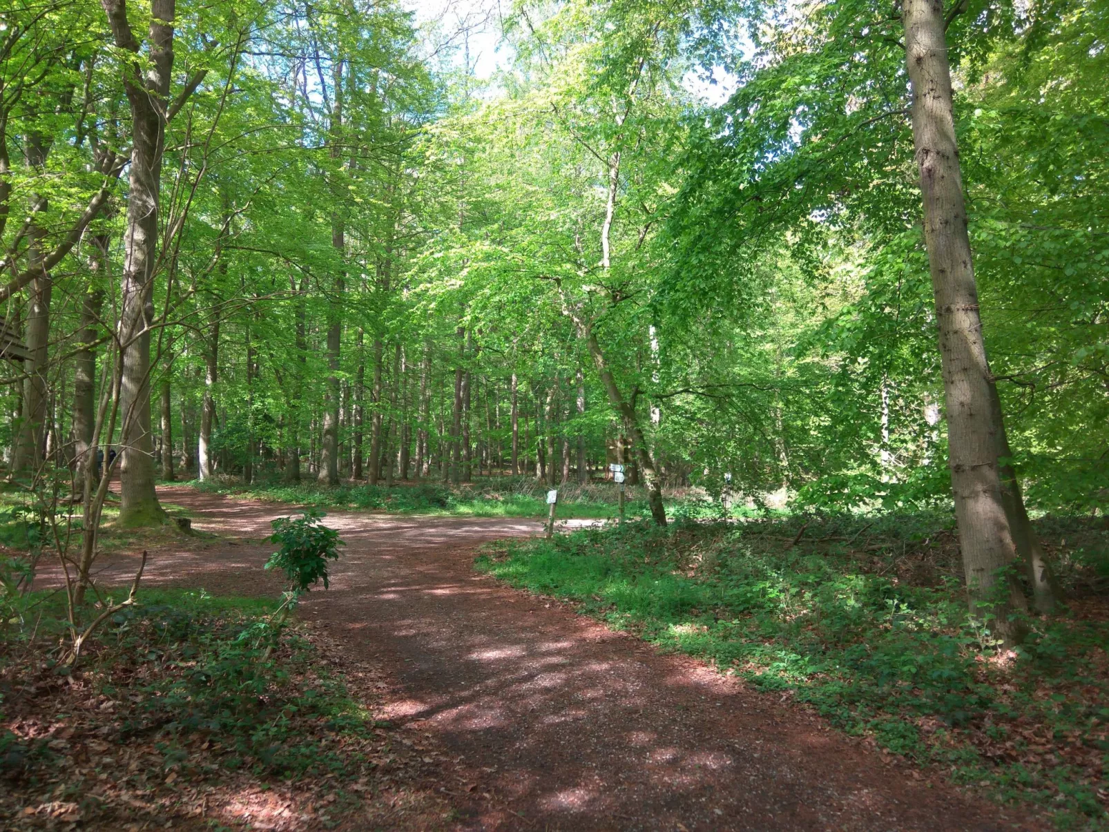 Fewo Waldblick - Image-tags.info