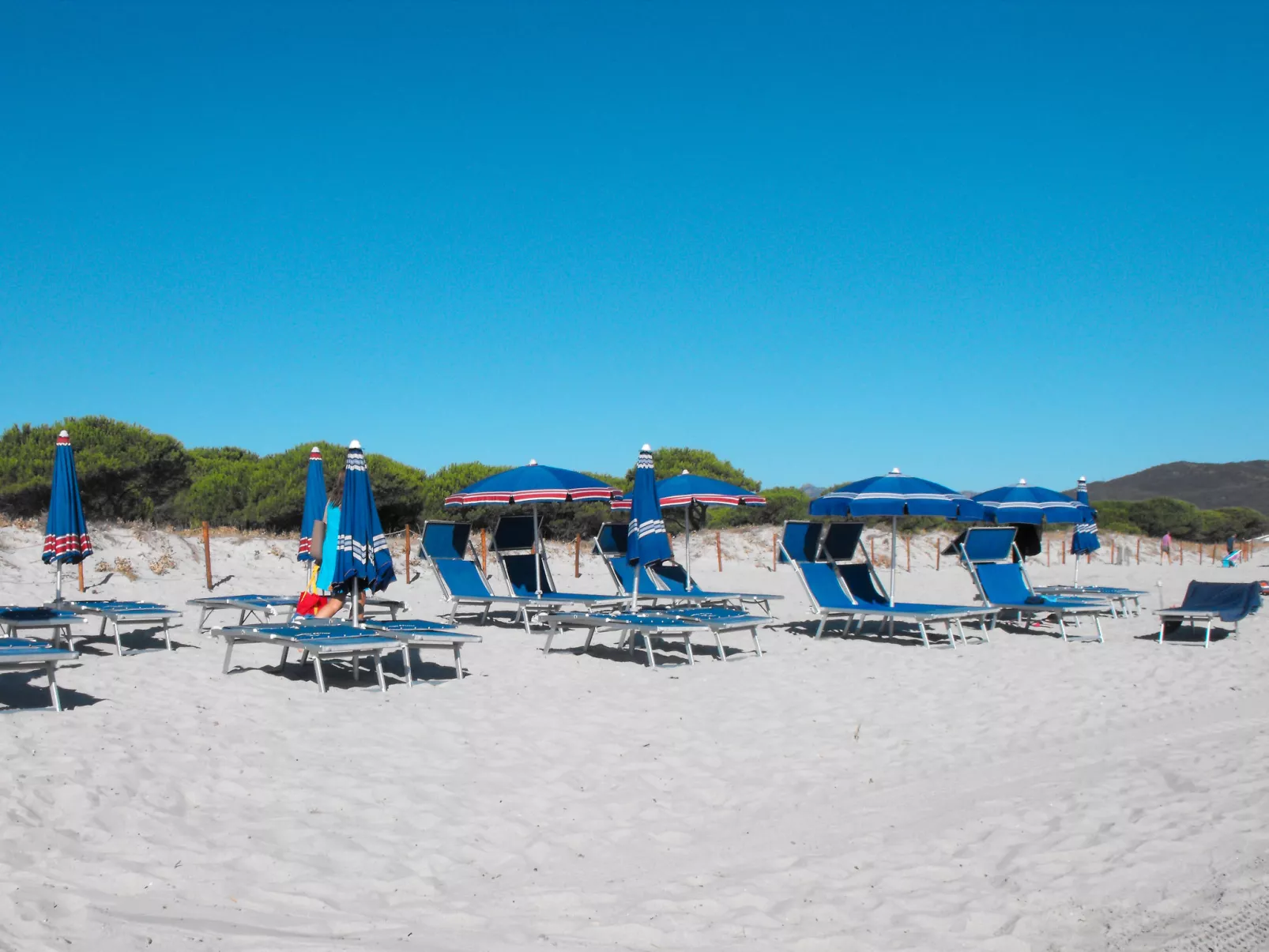 Irene, dolce brezza - Area