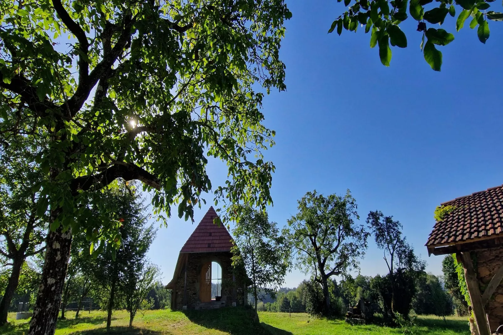 The Grange - Gardens in summer