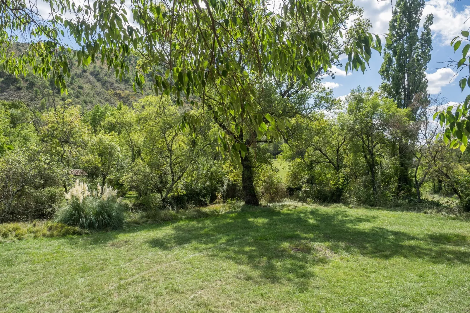 Petit gite-Gardens in summer