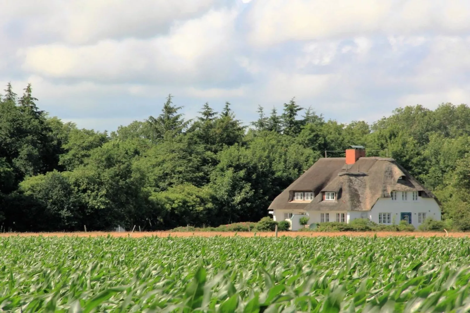 142985-Extérieur été