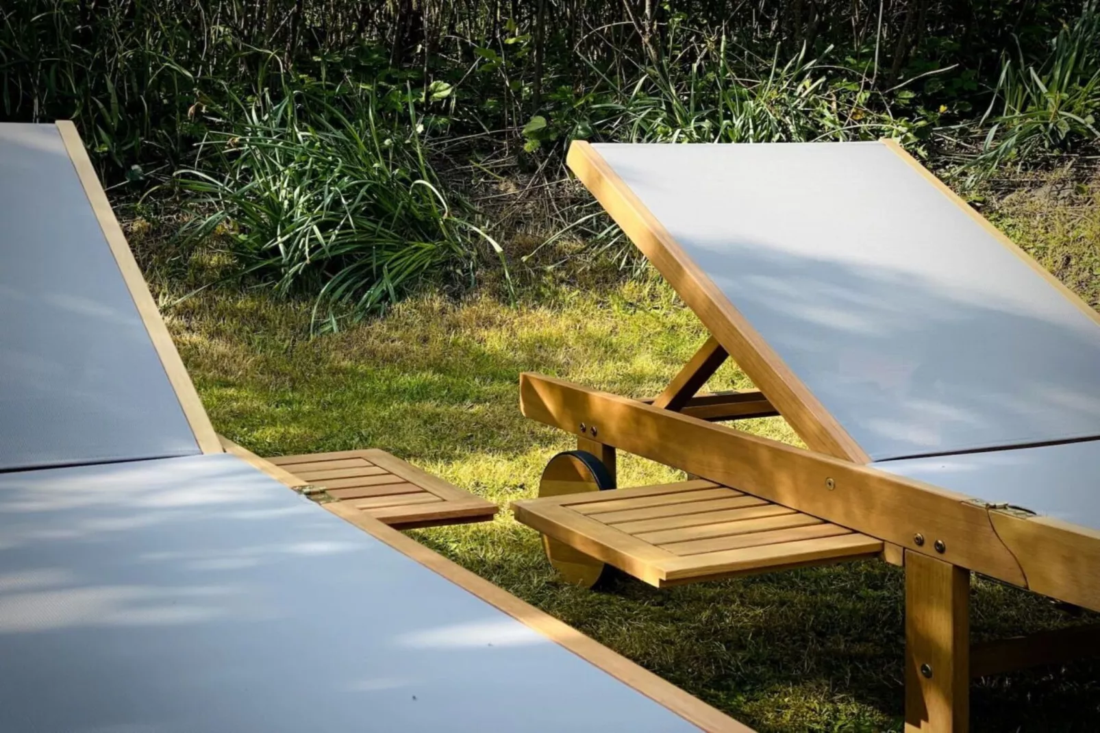 94185-Jardins en été