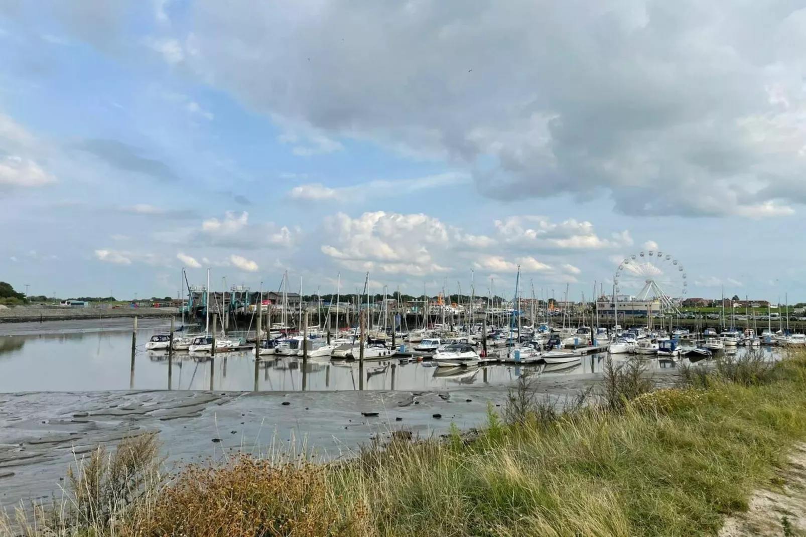 389318-Areas within 5km in summer