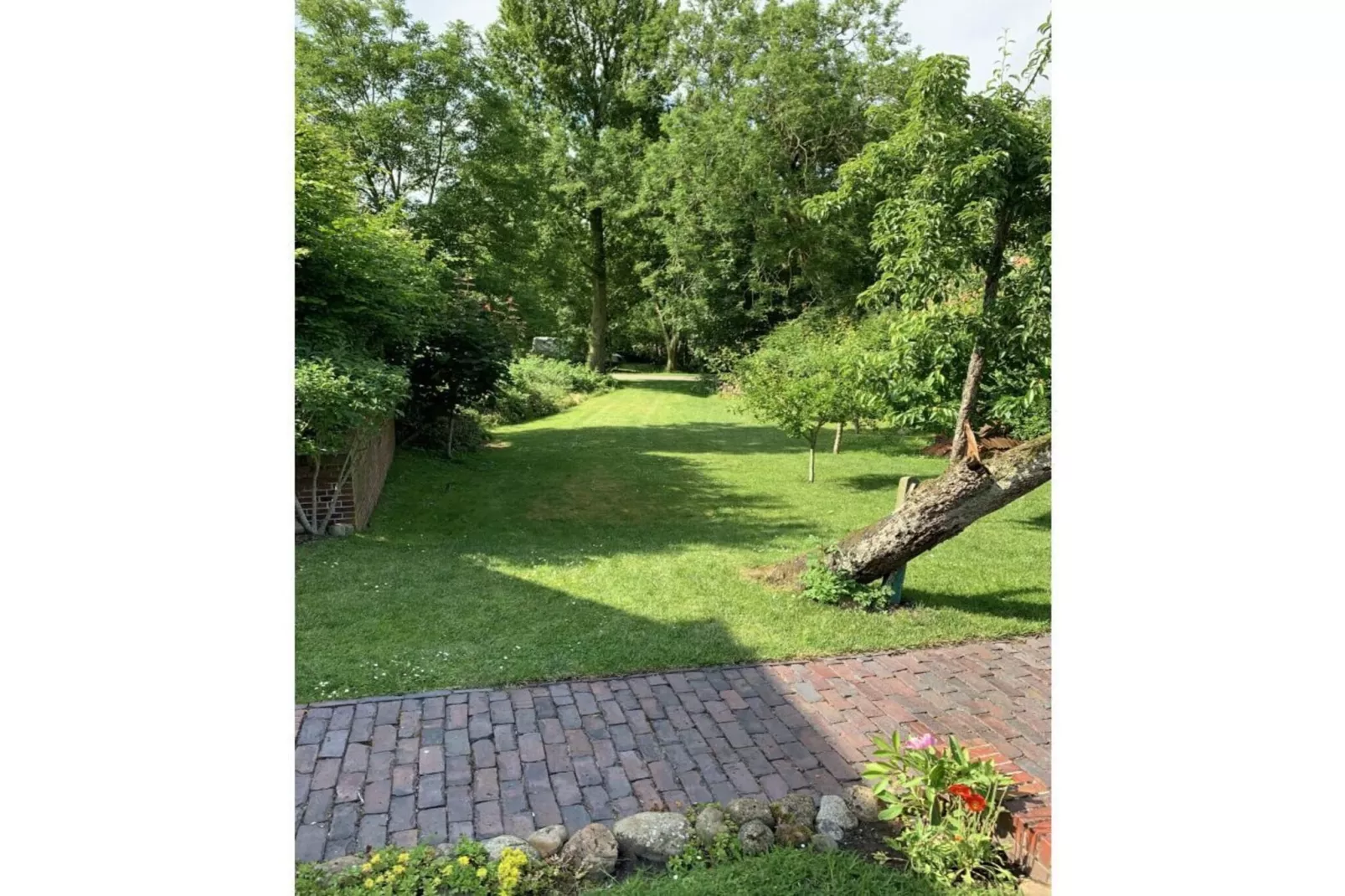 394110-Gardens in summer