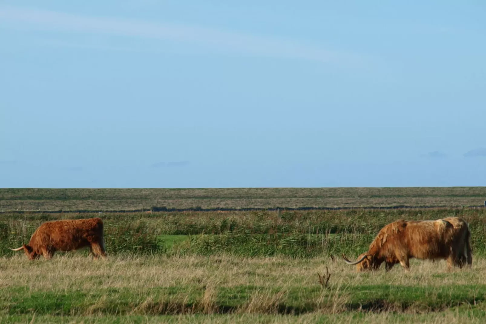 185172-Gebiete Sommer 5 km