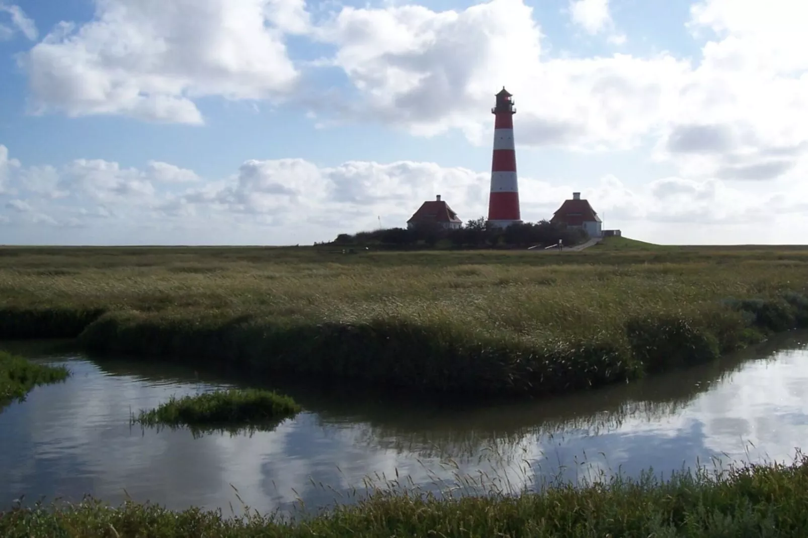 9376-Areas within 1km in summer