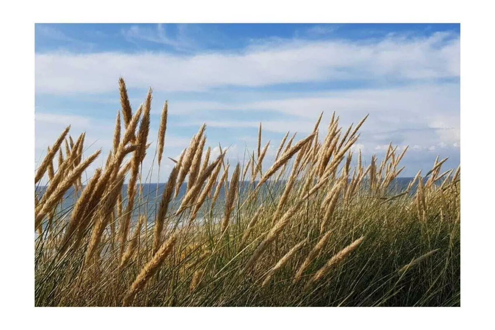 145755-Zones été à 5 km