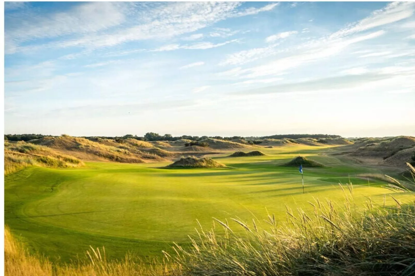 391987-Gardens in summer