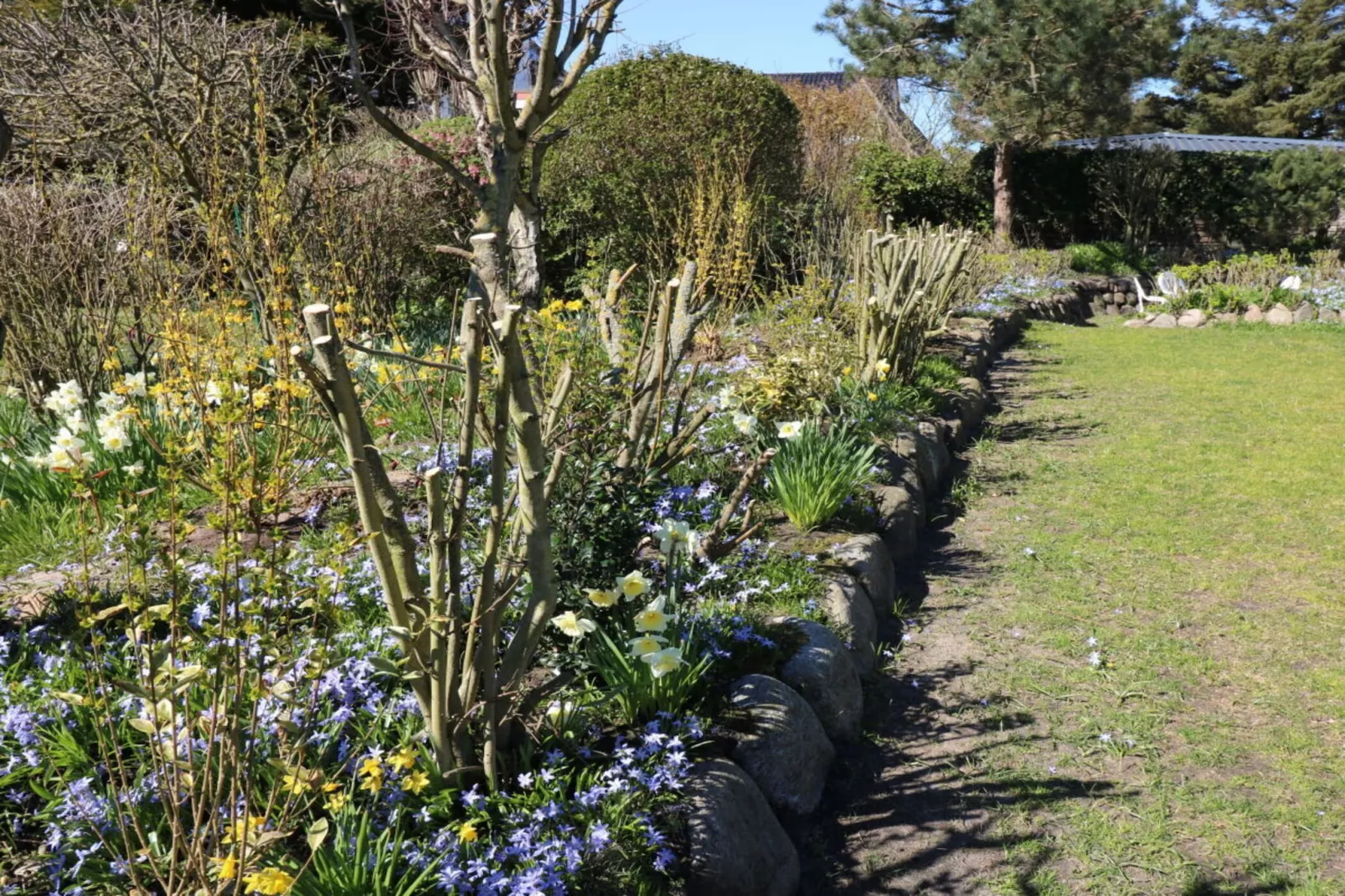 49469-Gardens in summer