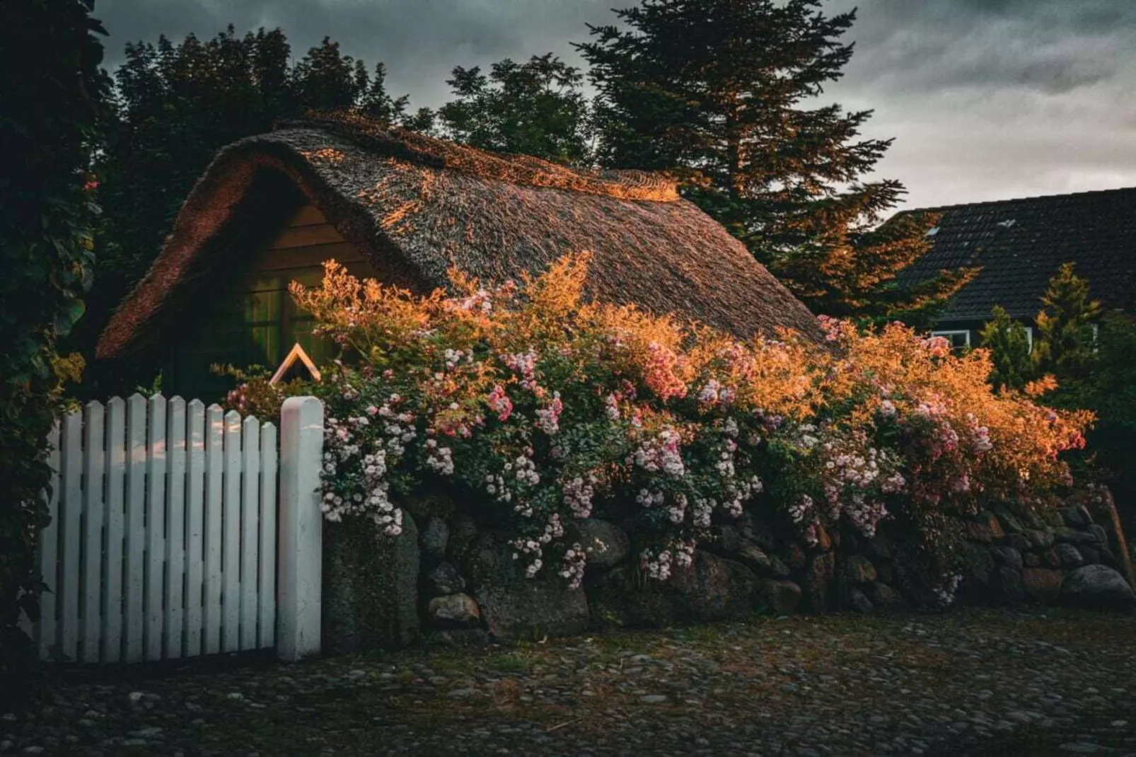 573535 - Extérieur été