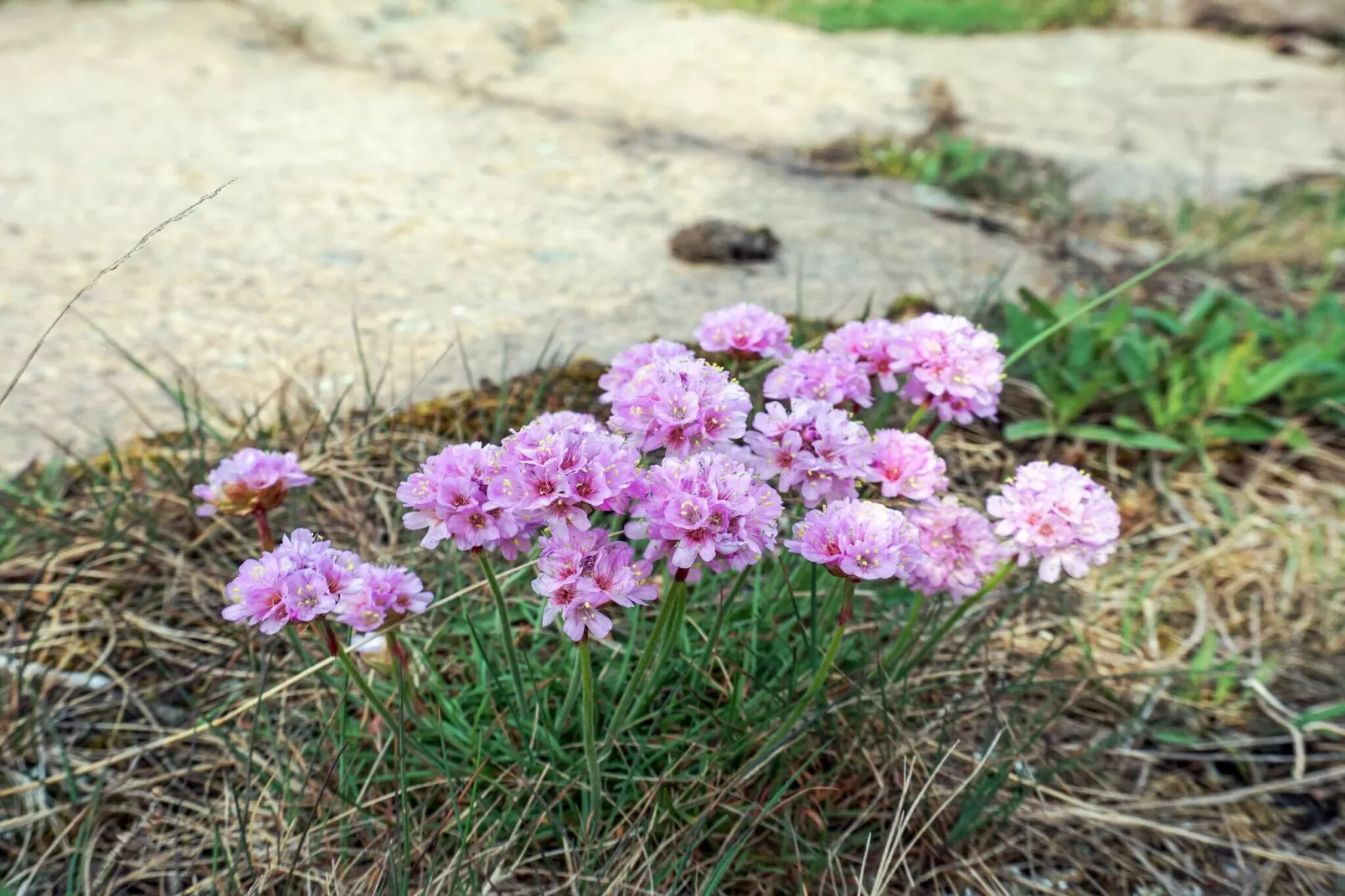 3 Personen Ferienhaus in Hunnebostrand-Nicht zugeordnet