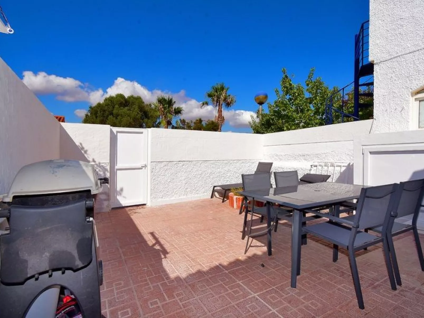 PALMERA 40-Image-tags.info