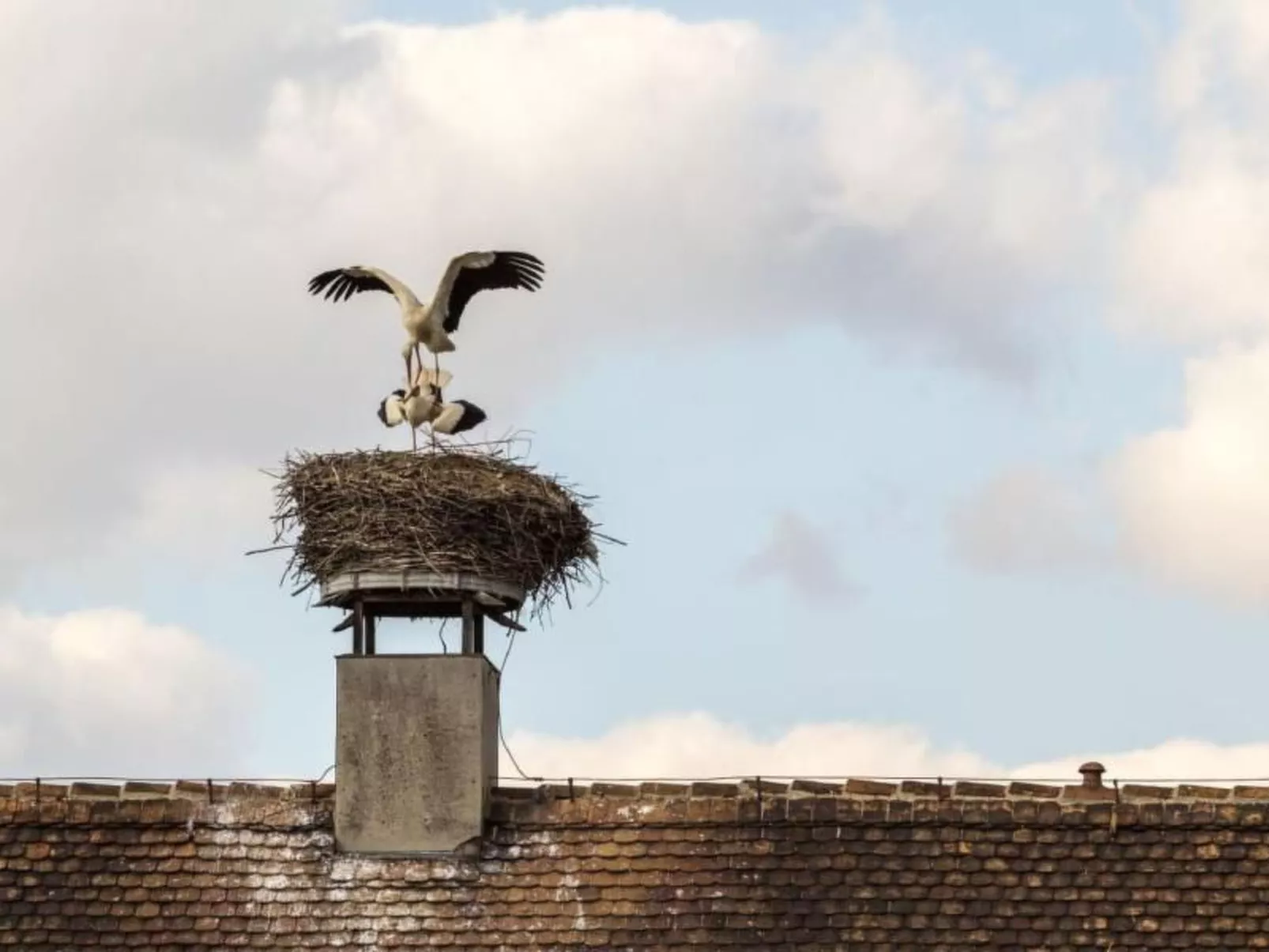 Wohnung in Niedergurig mit Grill, Sauna und Gart-Dehors