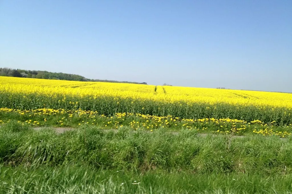 58009-Nicht zugeordnet