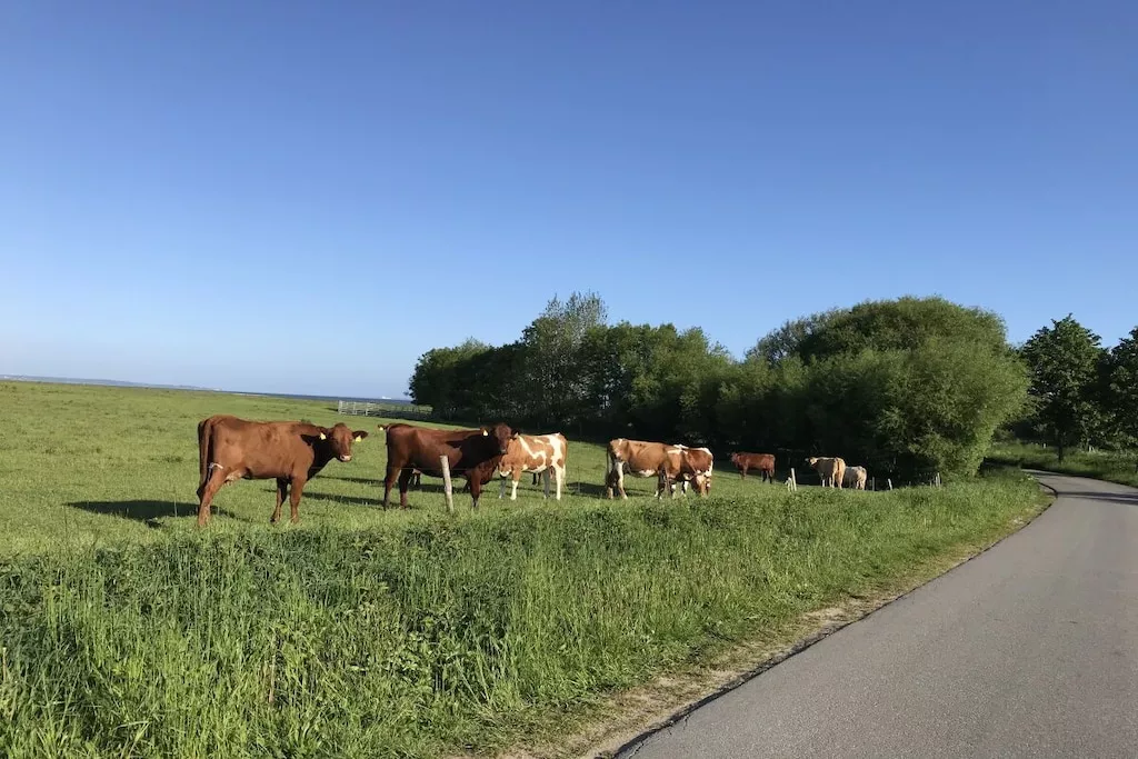 101641-Nicht zugeordnet