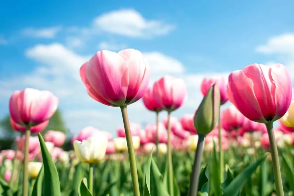 626792-Nicht zugeordnet