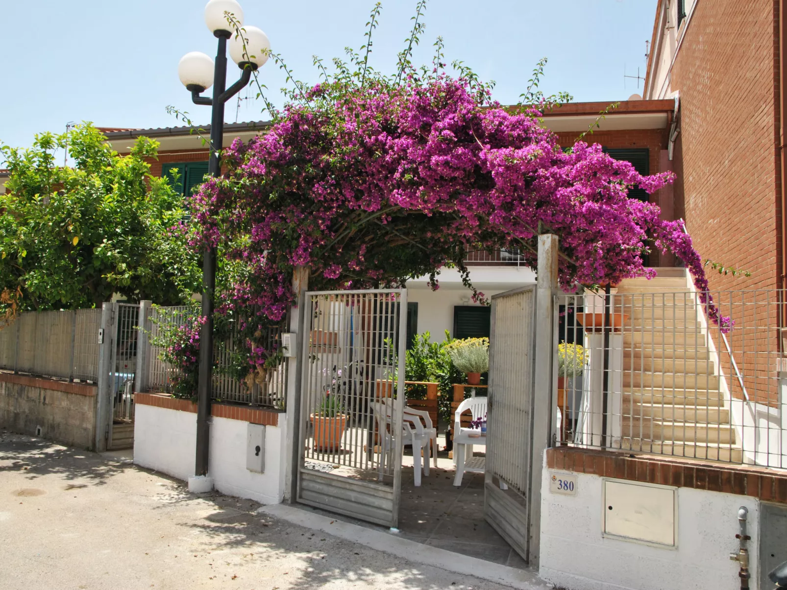 Bouganville - Draußen