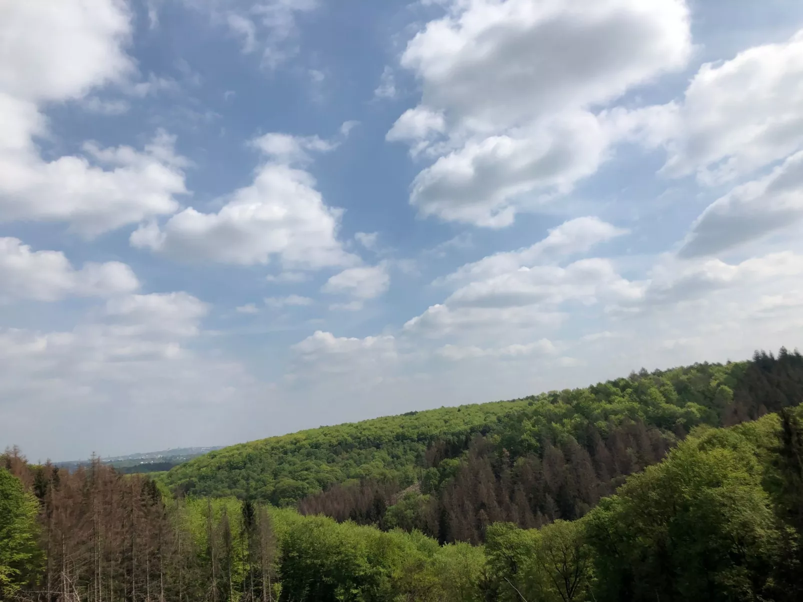 Gartenblick - Image-tags.info