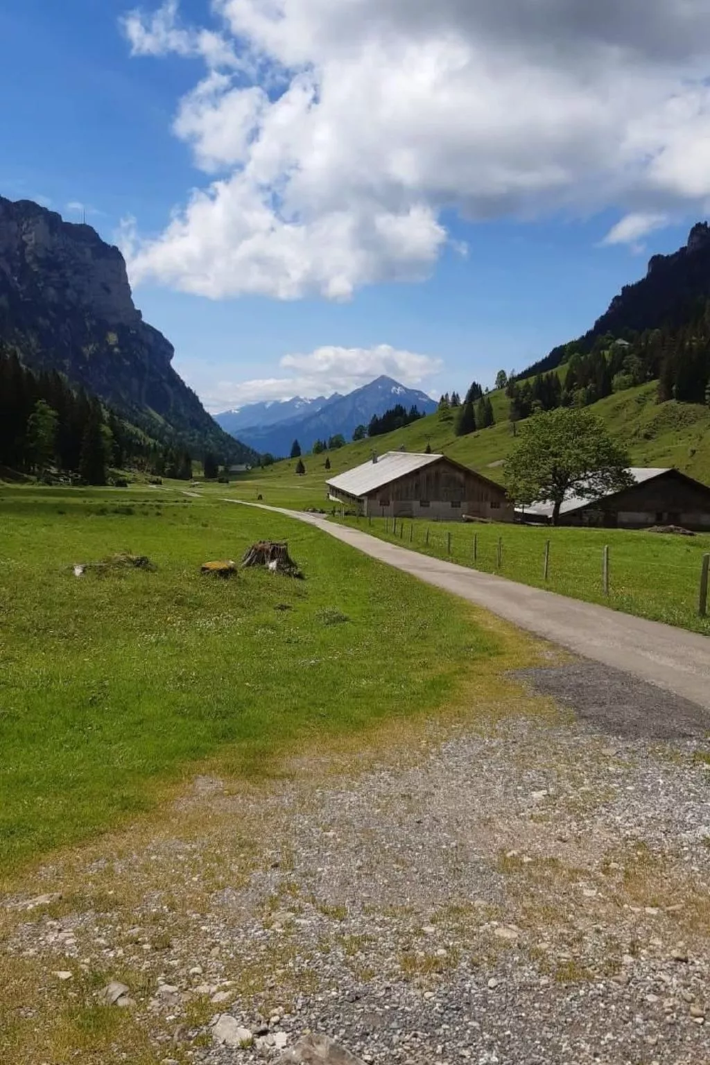 LiloTopMountainView - Image-tags.info