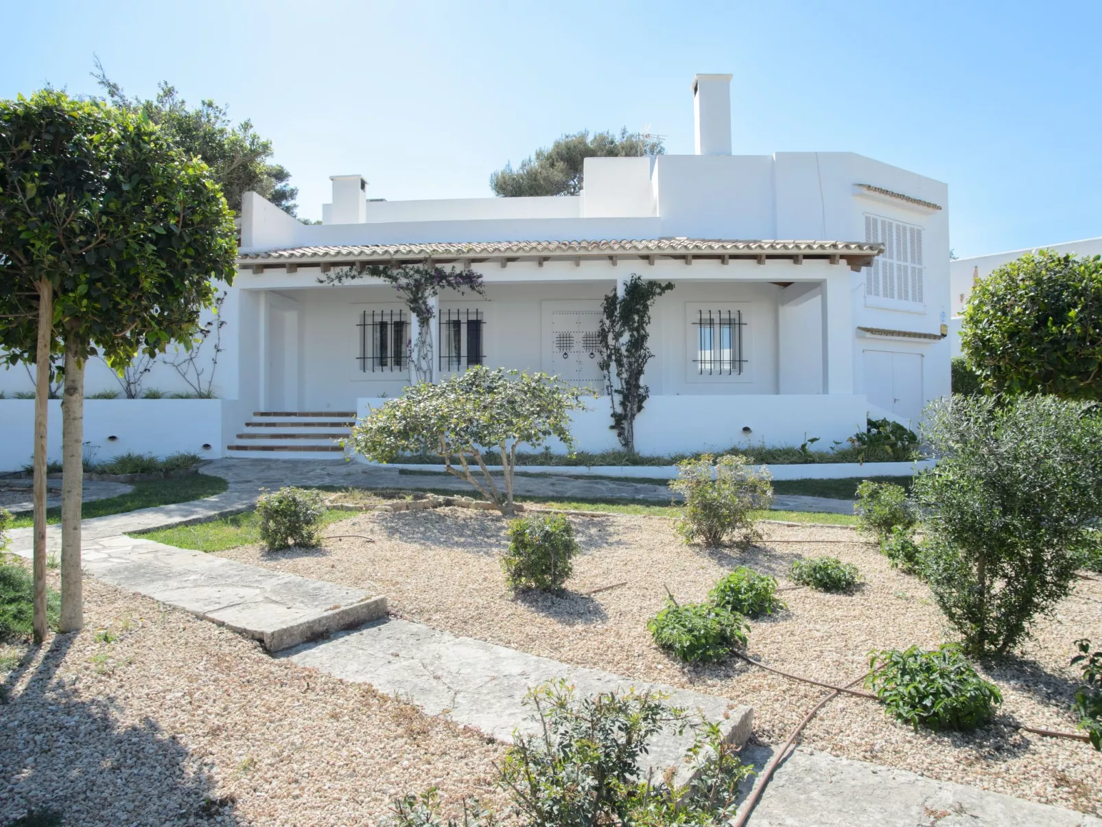 Pineda-Image-tags.info