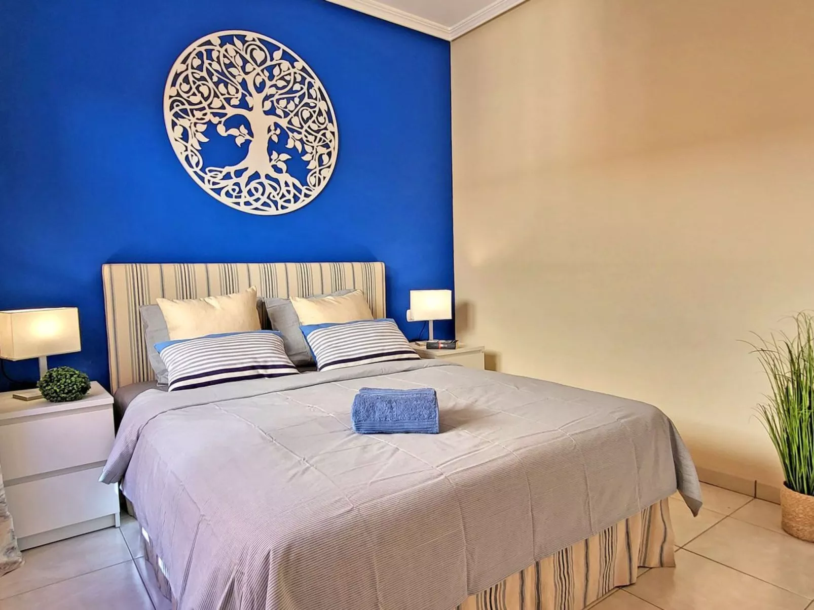 Janida Dream - Image-tags.info