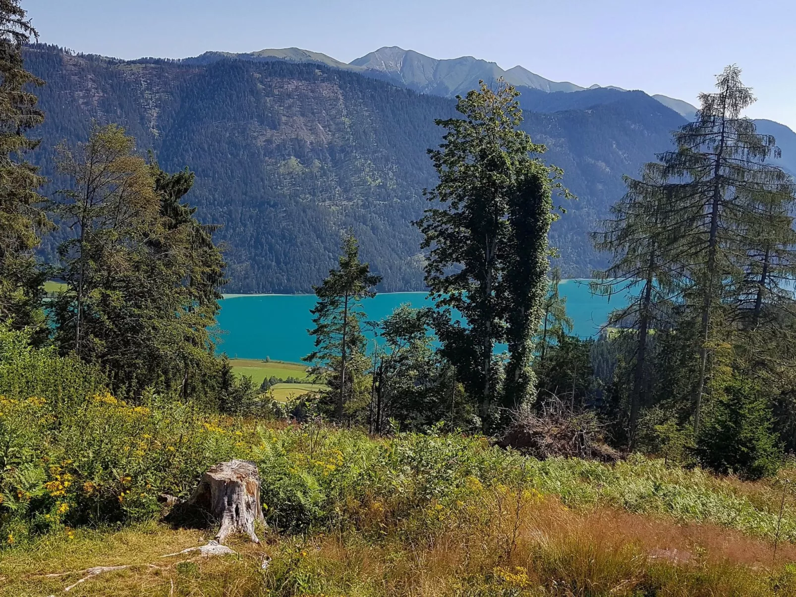 Haus Sunshine - Image-tags.info