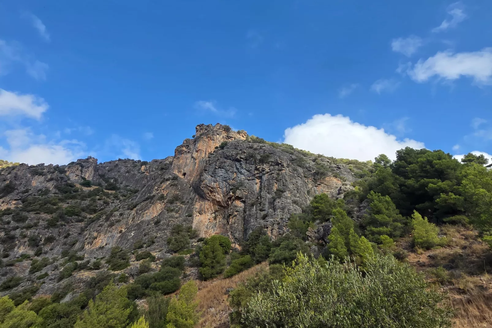 Casita Cartama - Gebiete Sommer 1 km