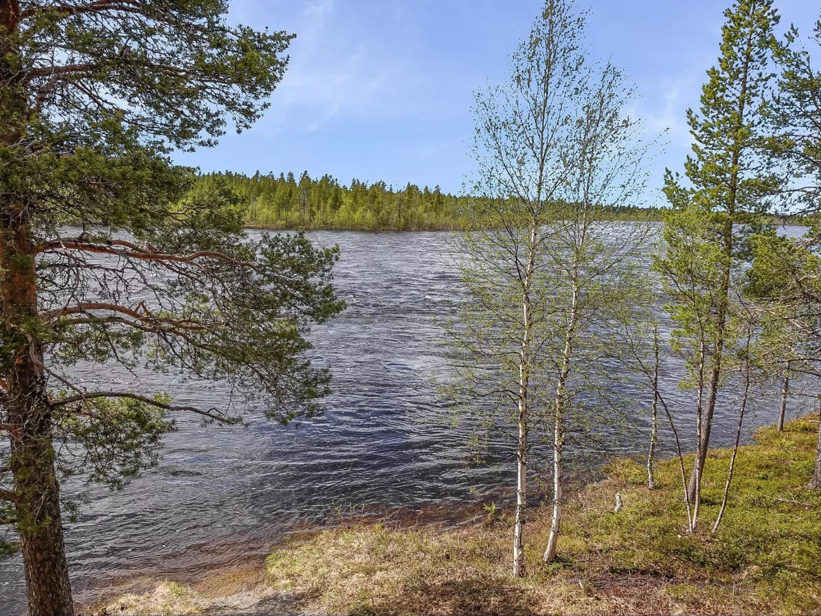 Luongasloma 2 - Dedans