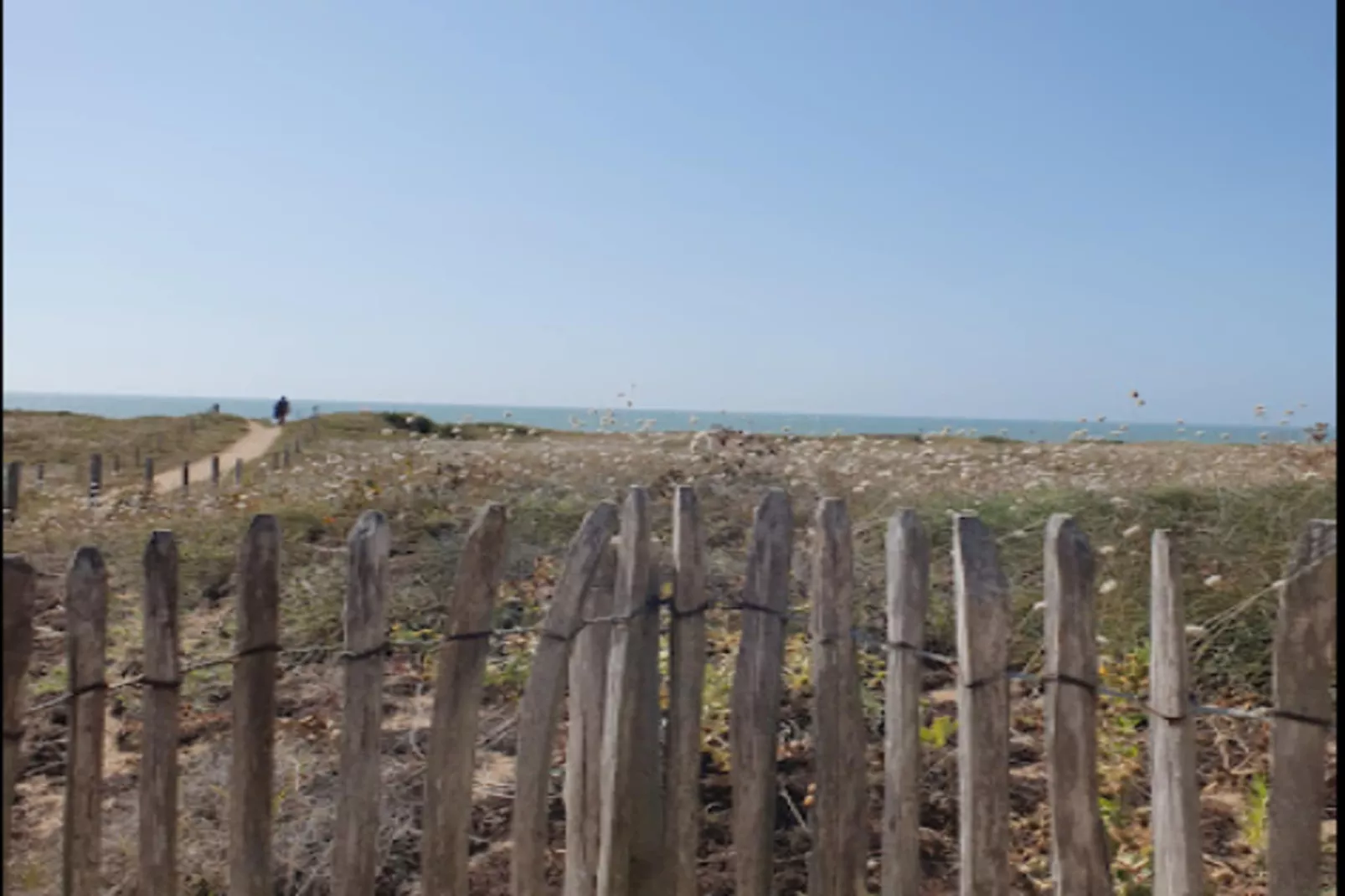 Villa Russie - Domaine Le Sherwood-Exterior in summer